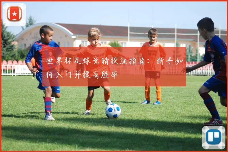 世界杯足球竞猜投注指南：新手如何入门并提高胜率