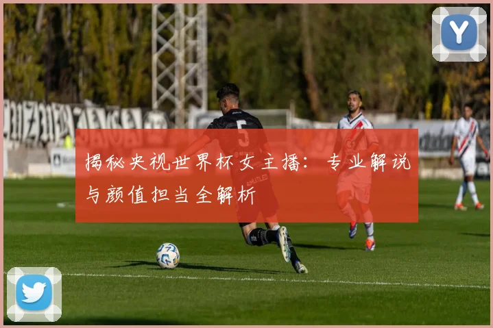 揭秘央视世界杯女主播：专业解说与颜值担当全解析