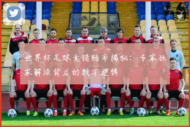 世界杯足球竞猜赔率揭秘：专家独家解读背后的数字逻辑