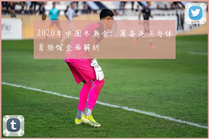 2020年中国冬奥会:筹备亮点与体育场馆全面解析